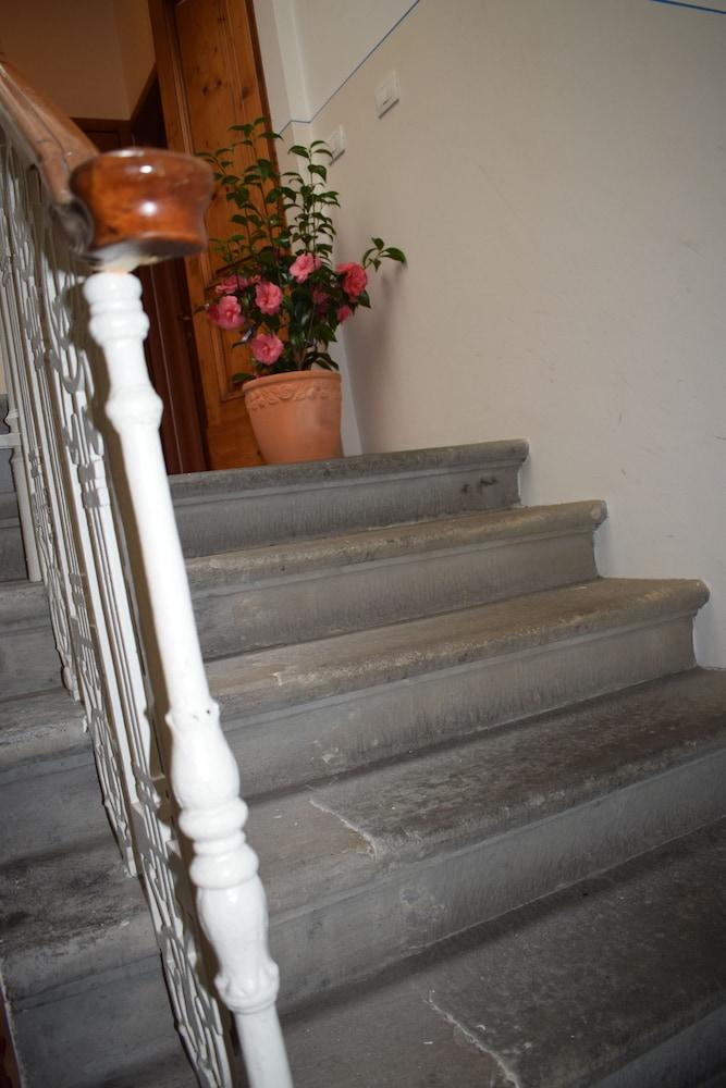Hotel Dalmazia Firenze Esterno foto