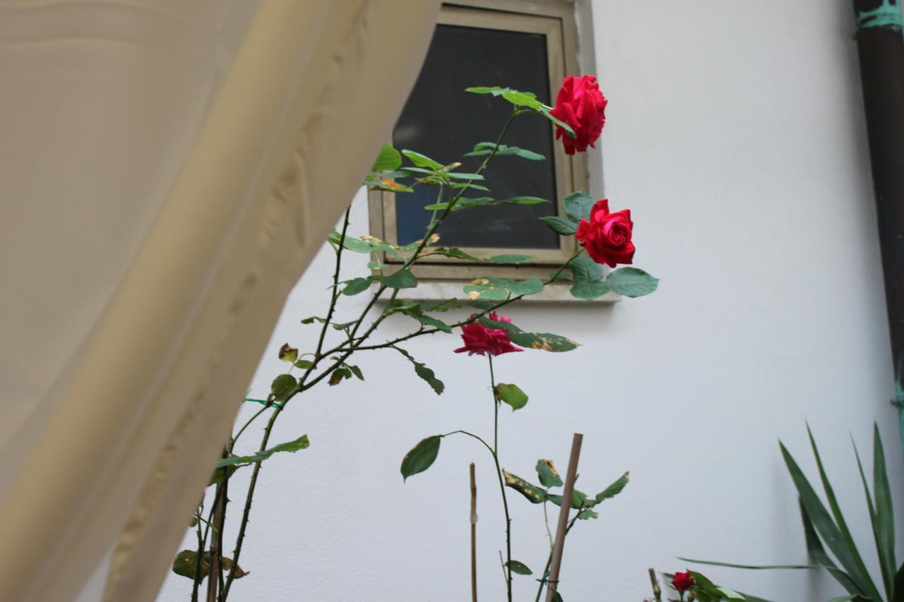 Hotel Dalmazia Firenze Esterno foto